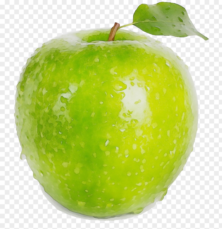 Tree Seedless Fruit Granny Smith Apple Green Food PNG