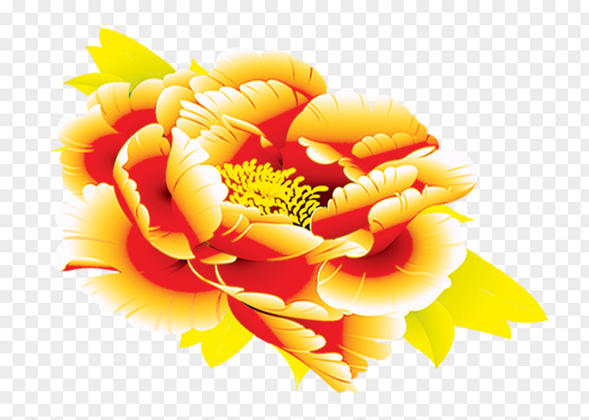 Golden Peony Floral Design Clip Art PNG