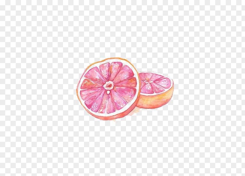 Grapefruit Watercolor Painting Bloating Drawing PNG