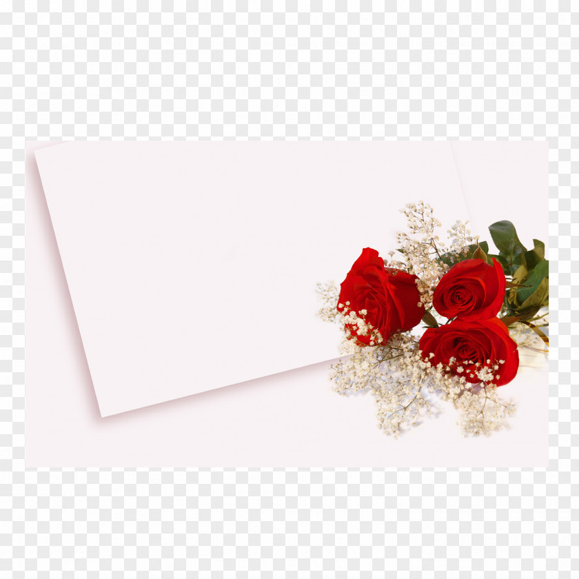 White Rose Wedding Invitation High-definition Video Wallpaper PNG