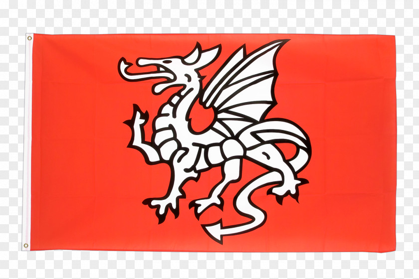 Flag Wessex White Dragon Of England Saxons PNG