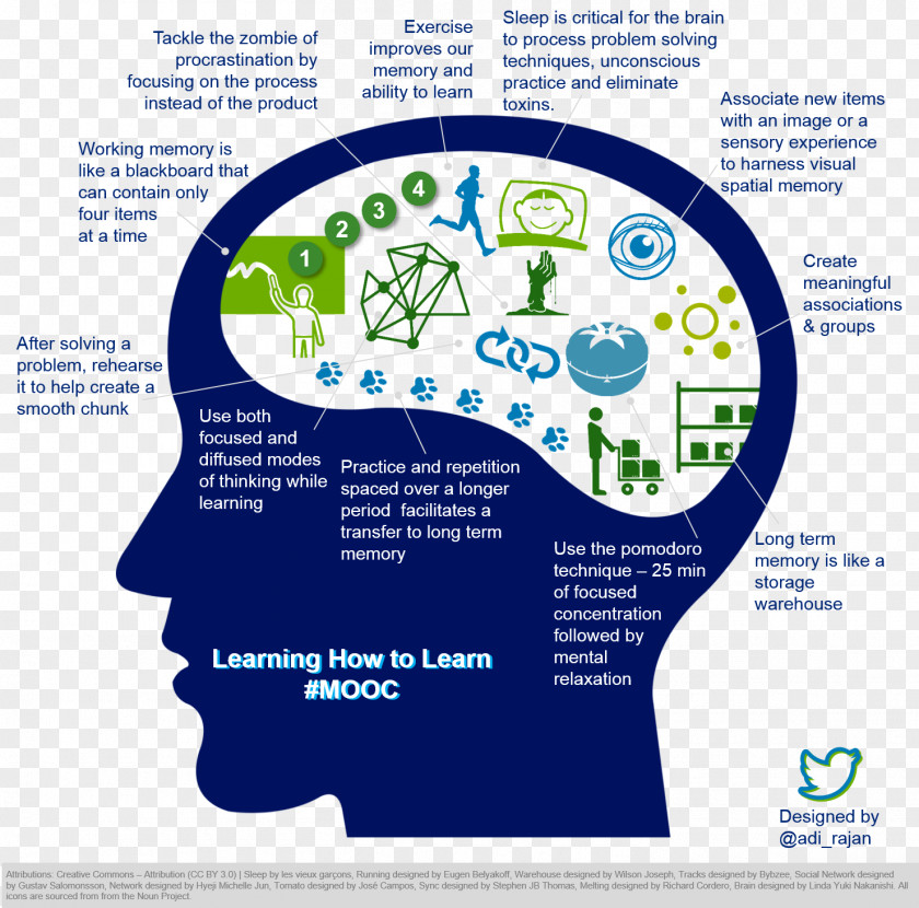 INFOGRAFIC Learning Infographic Education Study Skills Massive Open Online Course PNG