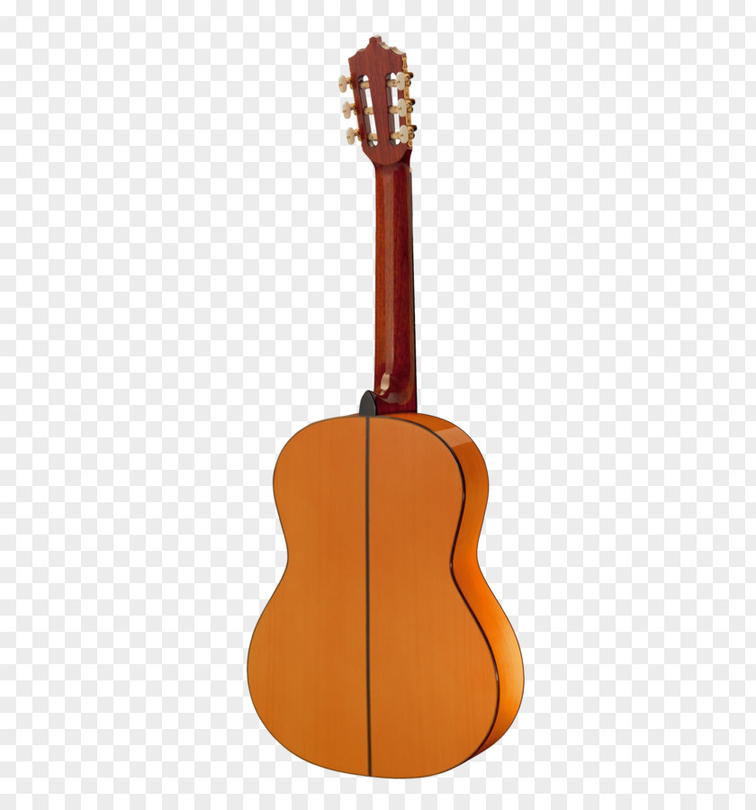 Binding Acoustic Guitar Ukulele Amazon.com Tiple PNG
