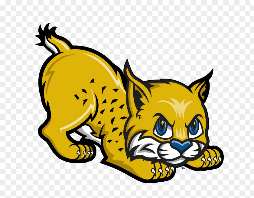 Bobcat Logo UC Merced Golden Bobcats Men's Basketball Clip Art Openclipart Vector Graphics PNG
