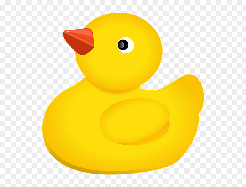 Duck Rubber Bathtub National Toy Hall Of Fame PNG