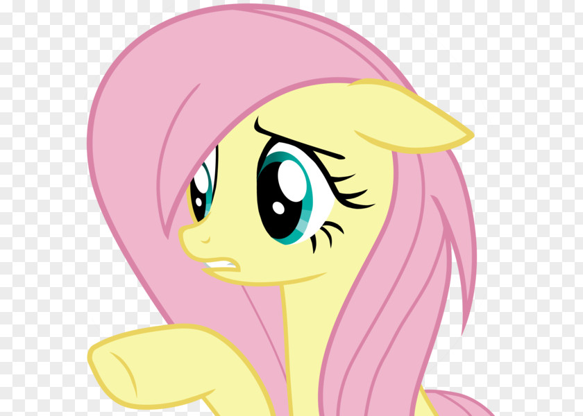 Horse Pony Fluttershy Rainbow Dash Flutter Brutter PNG