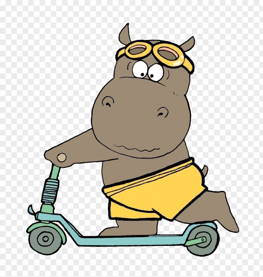 Scooter On The Hippo Hippopotamus T-shirt Clothing Toy Fashion Accessory PNG