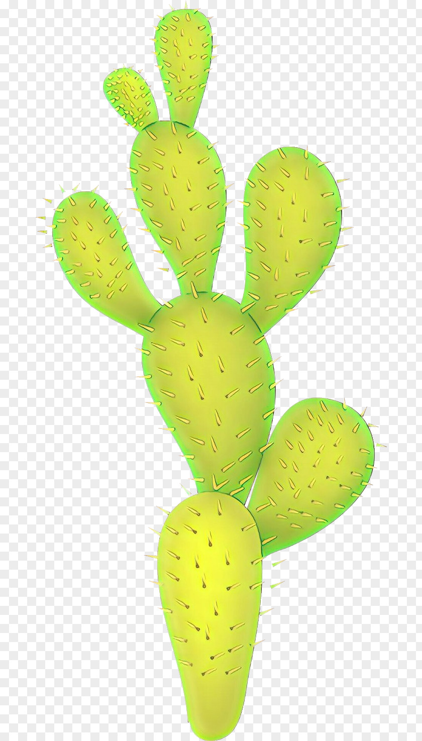 Terrestrial Plant Prickly Pear Cactus PNG