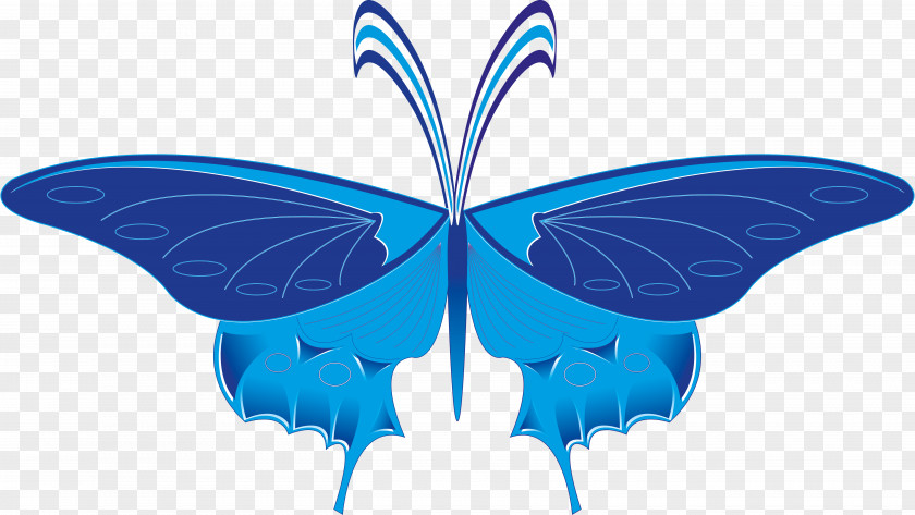 Vector Butterfly Nymphalidae Symmetry Microsoft Azure Clip Art PNG