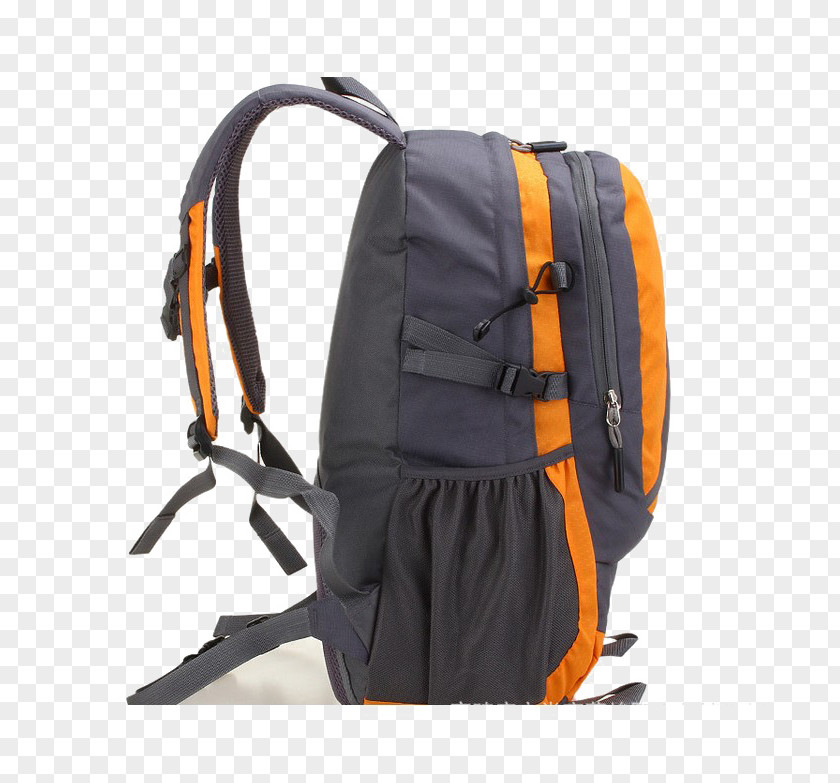 Backpack Baggage Travel Fashion PNG