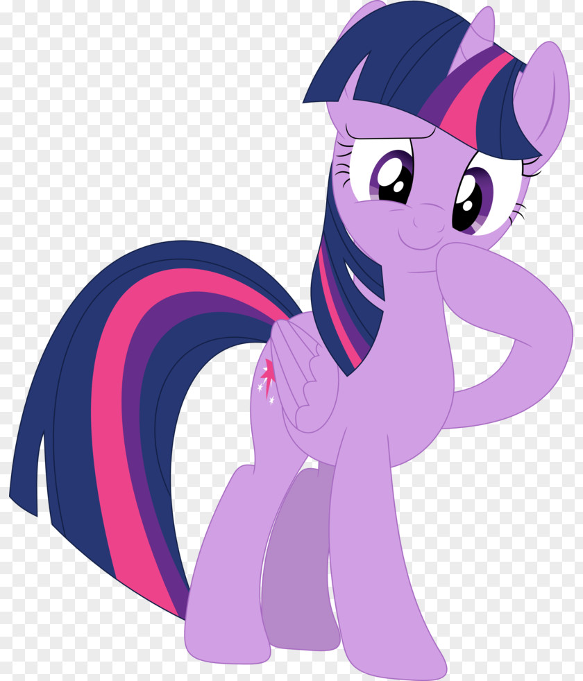 I Dont Know Twilight Sparkle Pony Rarity DeviantArt Infant PNG