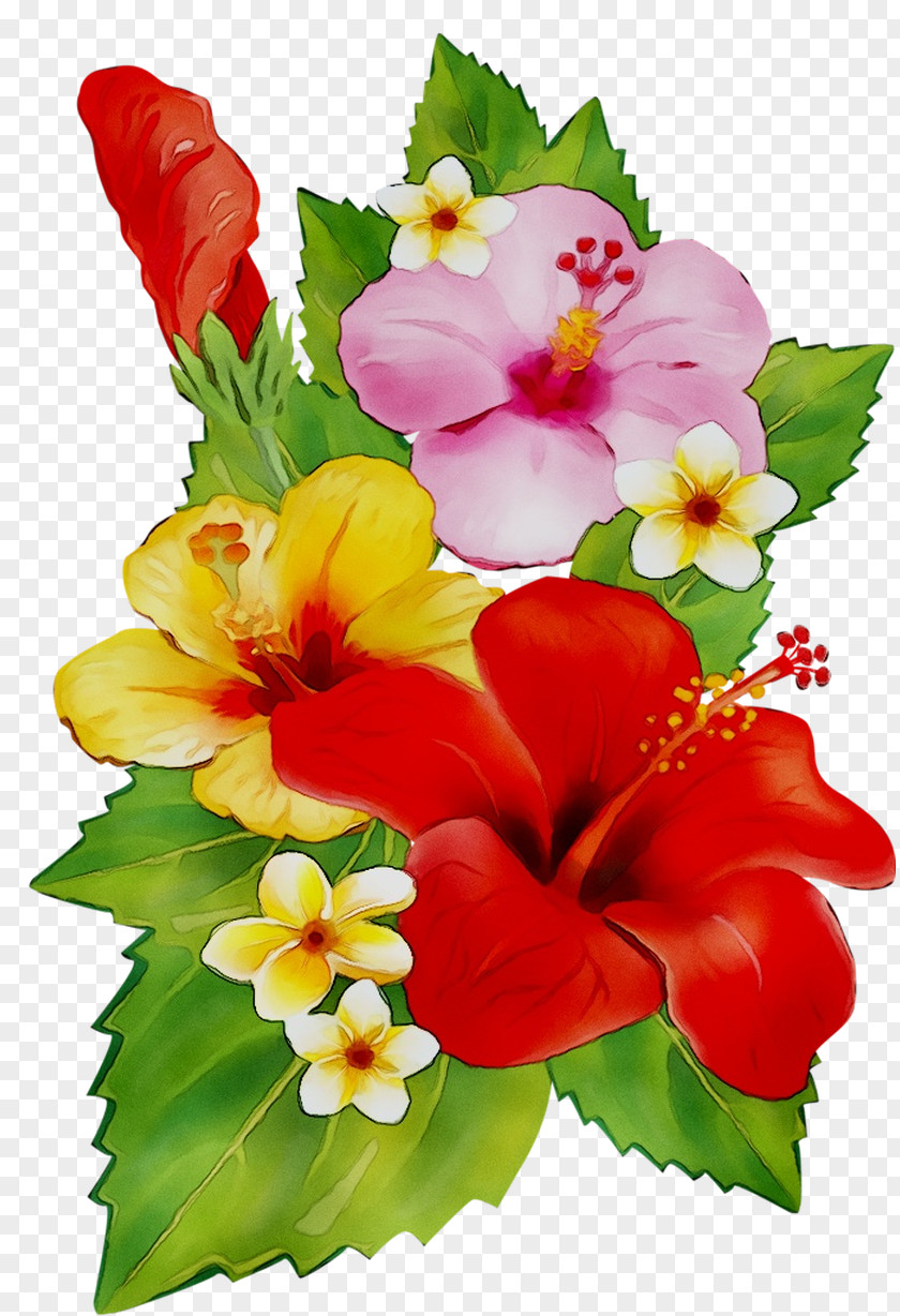Rosemallows Cut Flowers Floral Design Flower Bouquet PNG