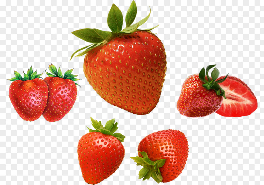 Strawberry Physical Map Musk Aedmaasikas PNG