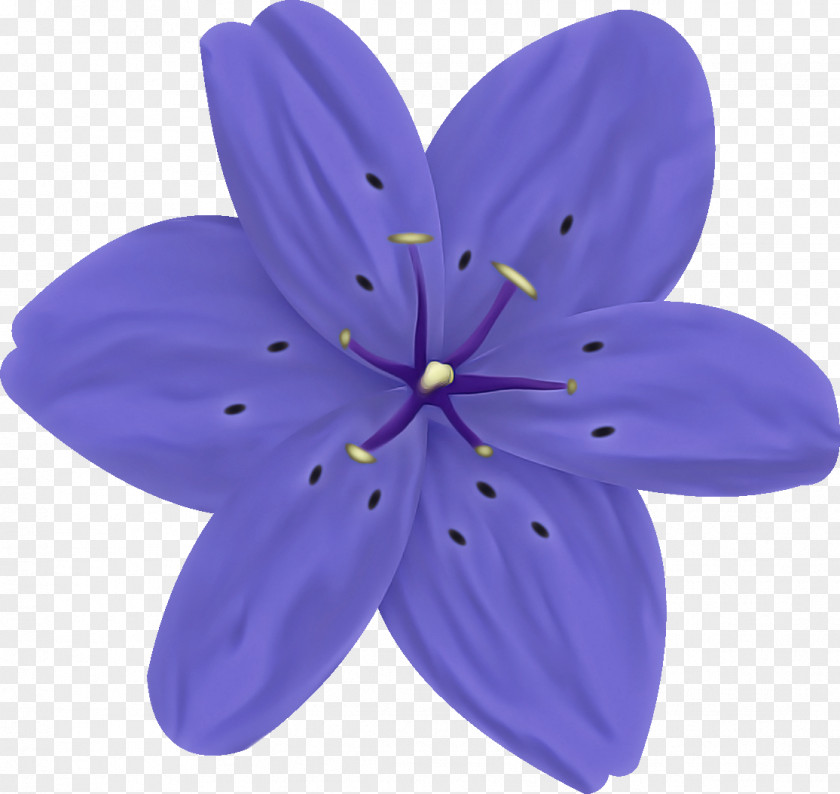 Wildflower Plant Petal Violet Purple Flower PNG