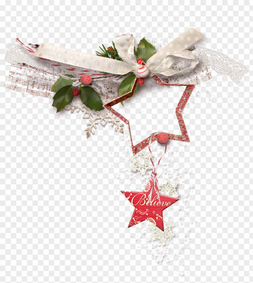 Winter Christmas Ornament Decoration PNG