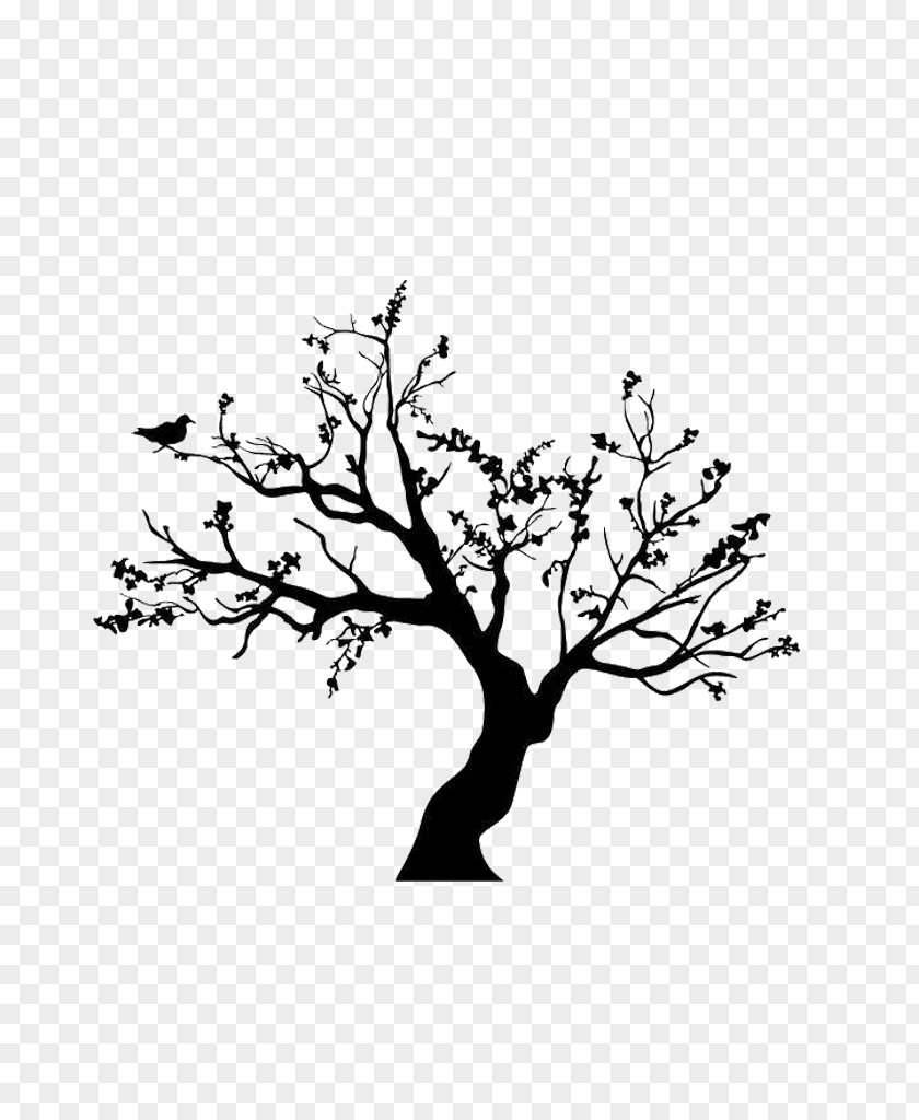 Winter Trees PNG trees clipart PNG