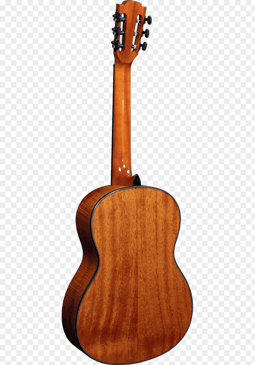 Acoustic Guitar Tiple Cavaquinho Cuatro Ukulele PNG