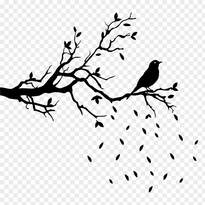 Arabesco Branch Wall Decal Tree Clip Art PNG