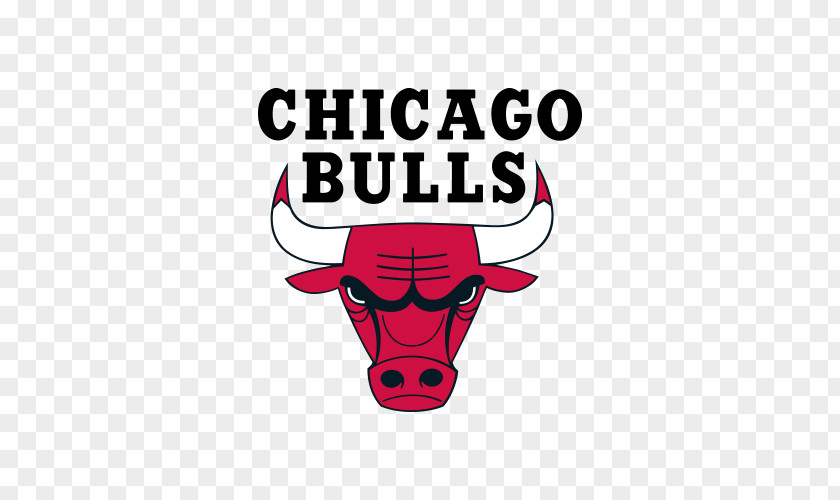 Basketball Chicago Bulls Windy City Durham Stags PNG