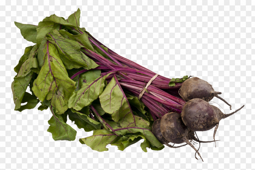 Beet Beetroot Icon PNG