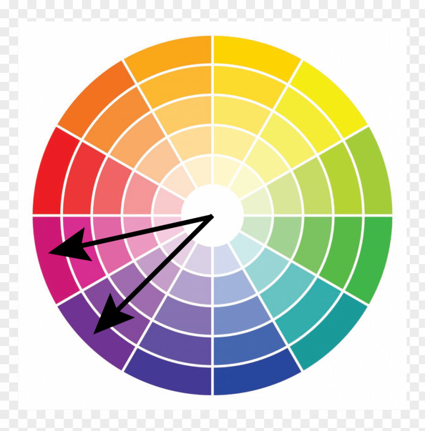 Color Wheel Scheme PNG
