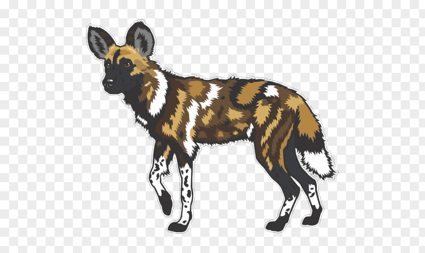 Dog African Wild Dhole Common Warthog PNG