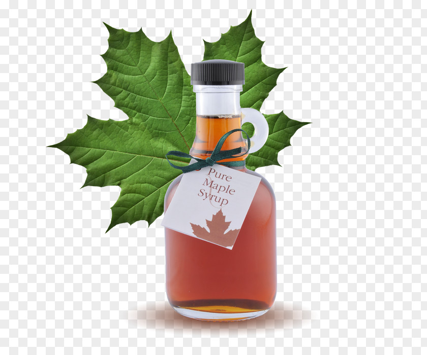 Maple Syrup Canadian Cuisine Butter Sugar PNG