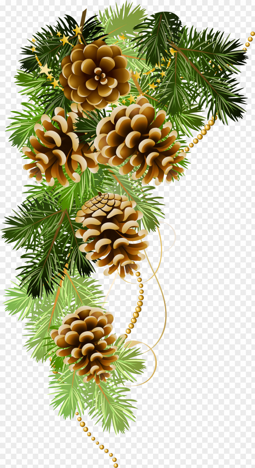Pine Christmas Ansichtkaart Holiday Greeting & Note Cards New Year PNG