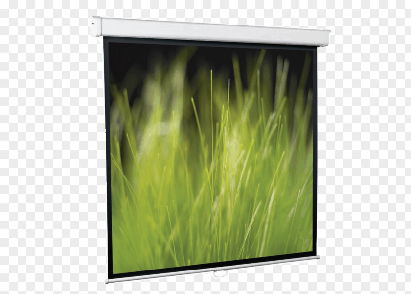 Projection Screens Display Device Computer Monitors Price Multimedia Projectors PNG