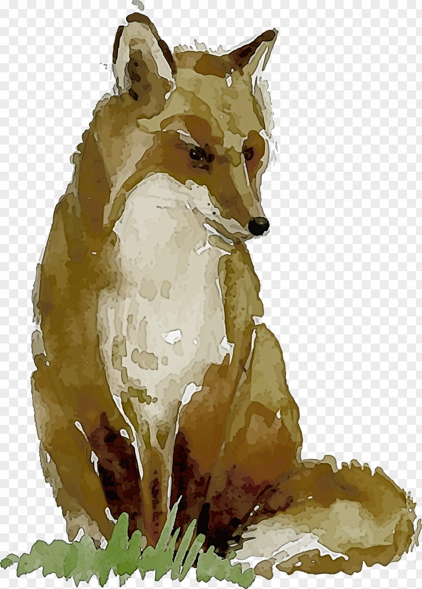 Red Fox Swift Wildlife Snout PNG