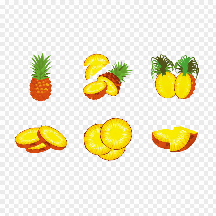 Vector Sliced ​​pineapple Pineapple Fruit Auglis PNG