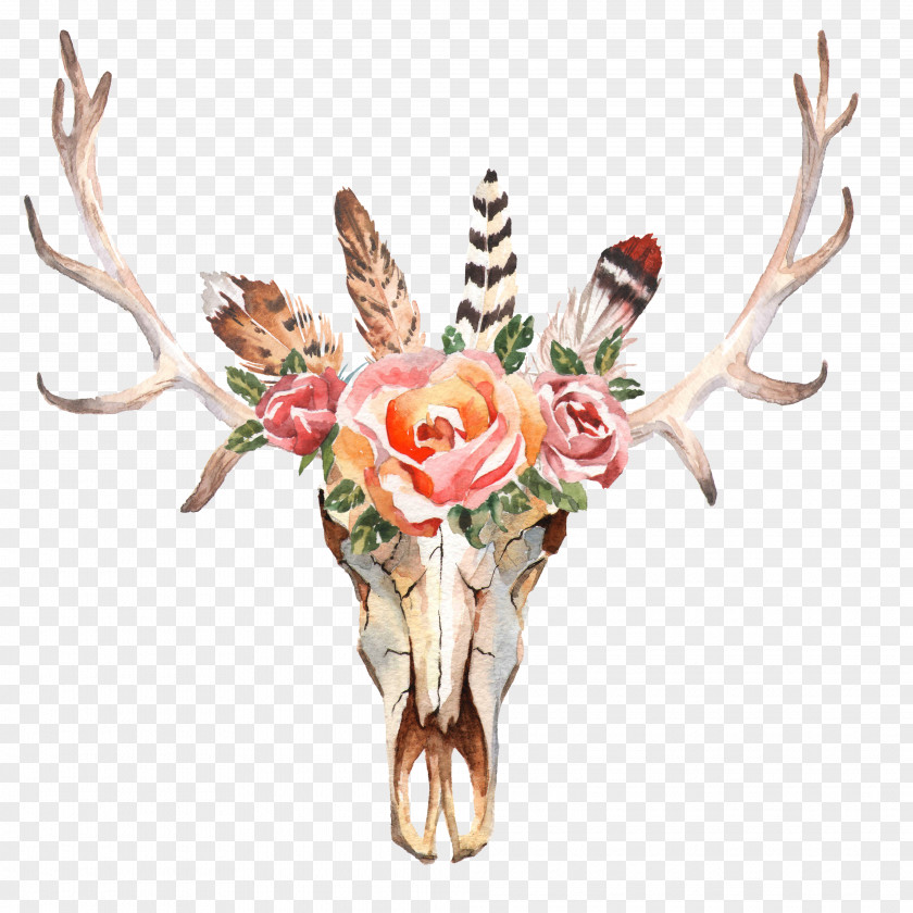 WATERCOLOR LEAF Deer Flower Skull Stock Photography Horn PNG