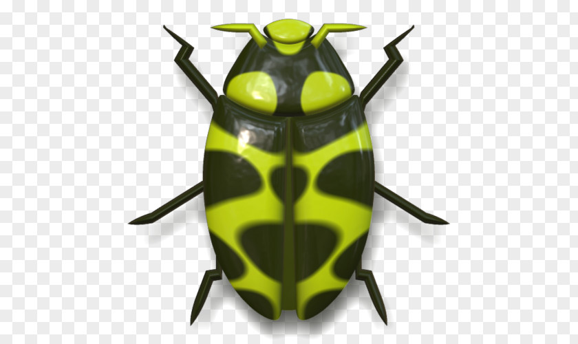 Beetle Ladybird Clip Art PNG