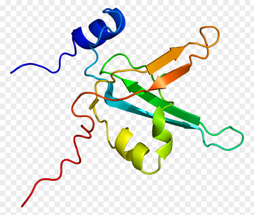 Replication Protein A1 Gene DNA PNG