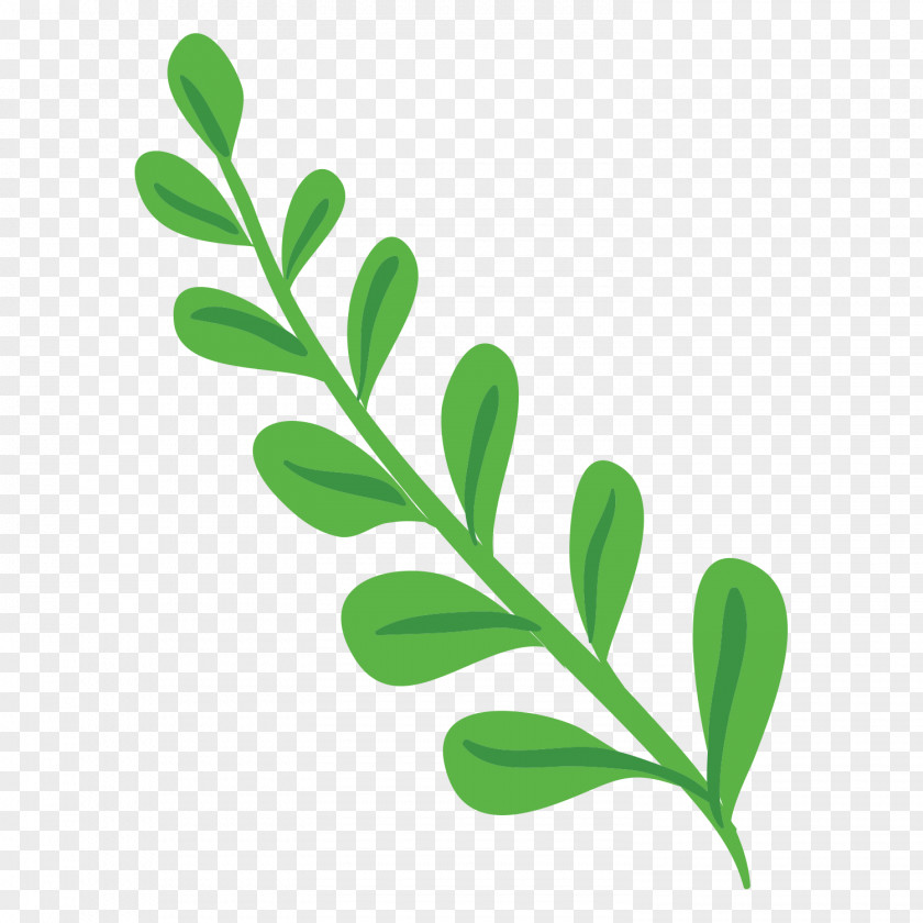 Bang Flower Plant Stem Clip Art PNG