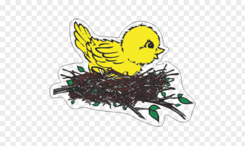 Bird Nest Beak Coloring Book Clip Art PNG