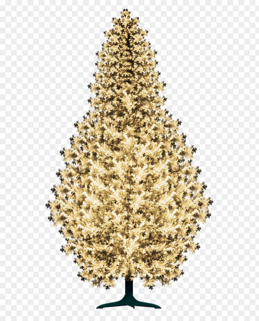 Christmas Tree Spruce Ornament Fir PNG