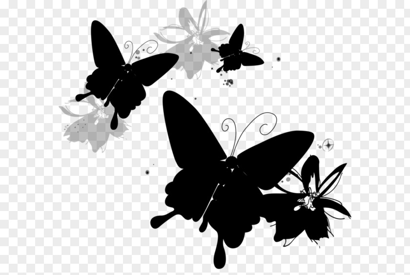 Clip Art Brush-footed Butterflies Drawing Child PNG