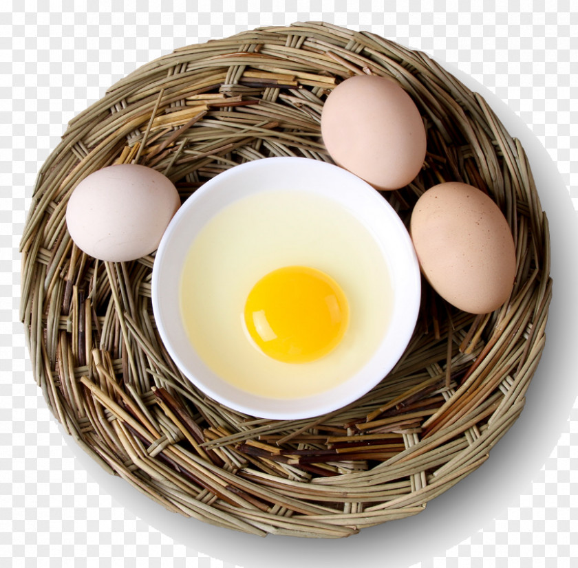 Egg Yolk White PNG