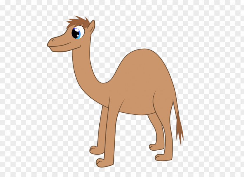 Horse Dromedary Camel Wildlife Clip Art PNG