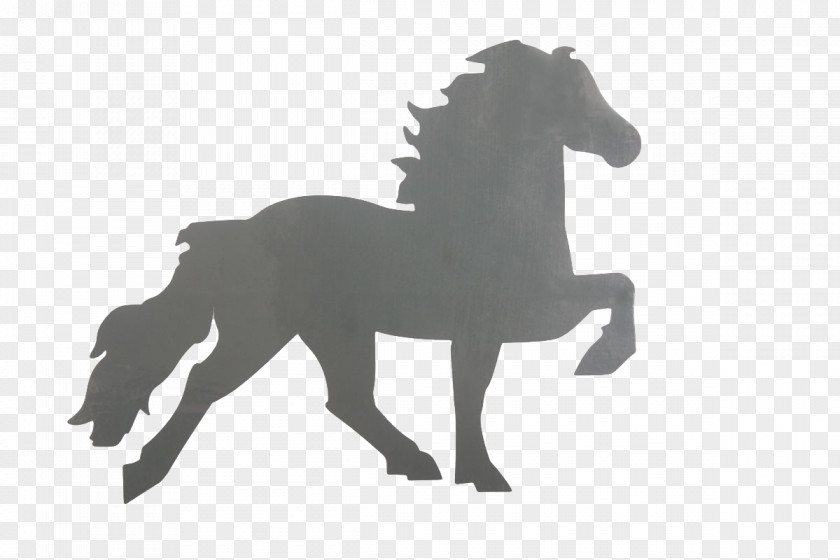Iceland Logo Icelandic Horse Sticker Equestrian MEM 2018 In St. Radegund/OÖ Ambling Gait PNG