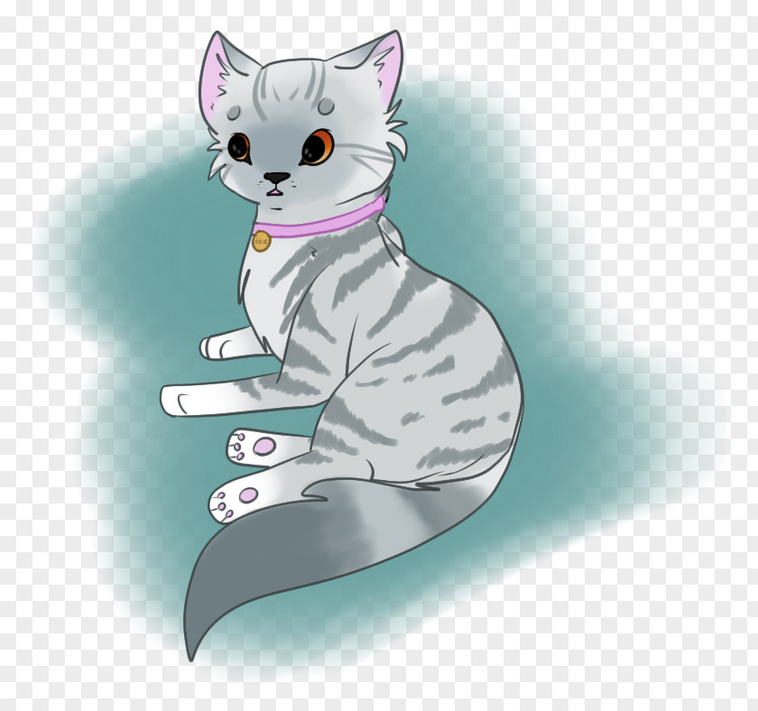 Kitten Whiskers Cat Canidae Dog PNG