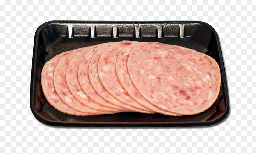 Sausage Bratwurst Salami Mettwurst Cervelat PNG
