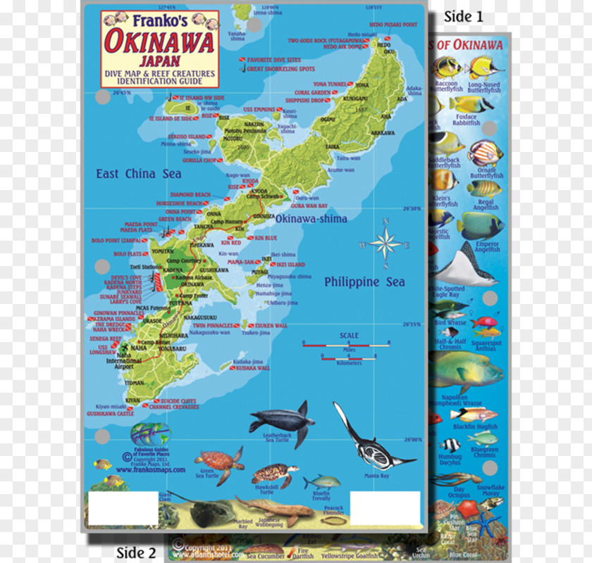 Map Okinawa Island Coral Reef PNG