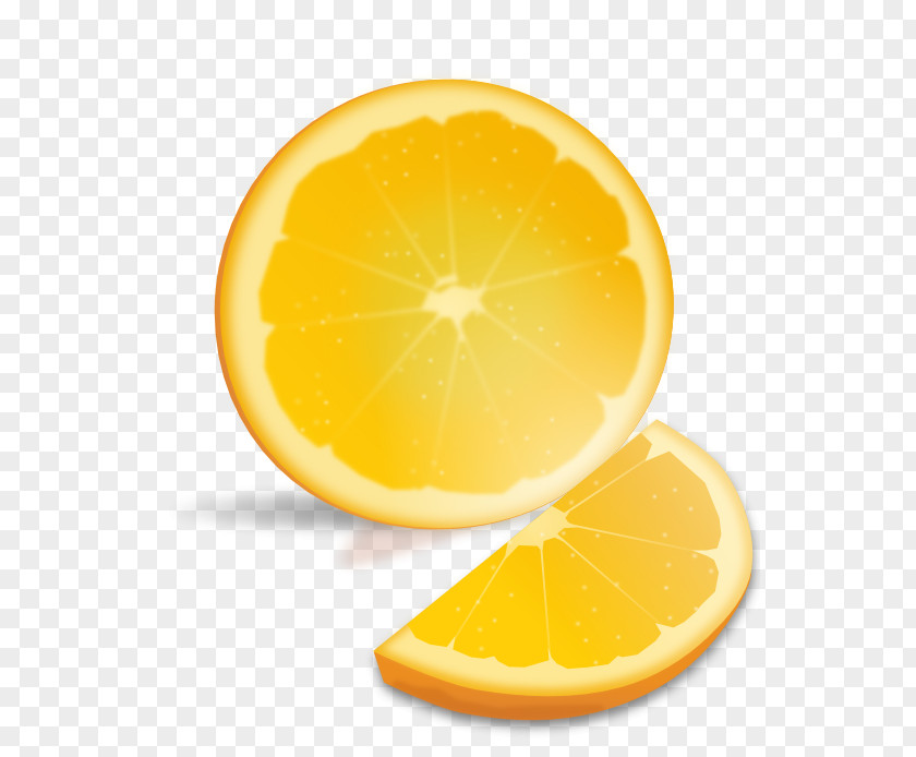Pictures Of Oranges Orange Juice Lemon Clip Art PNG