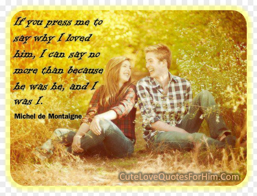 Quotation Falling In Love Interpersonal Relationship Friendship PNG