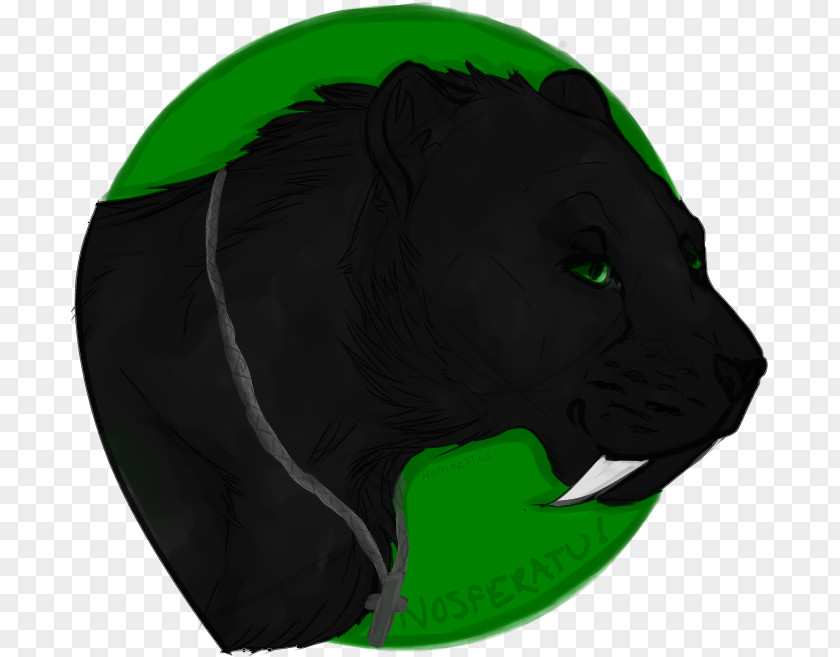 Cat Big Puma Character Snout PNG