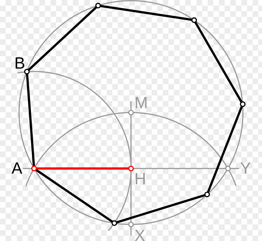 Circle Heptagon Angle Compass-and-straightedge Construction Geometry PNG