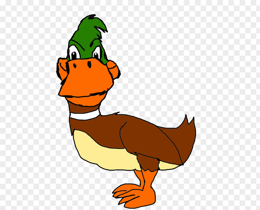 Duck Ducks, Geese And Swans & Chicken Goose PNG