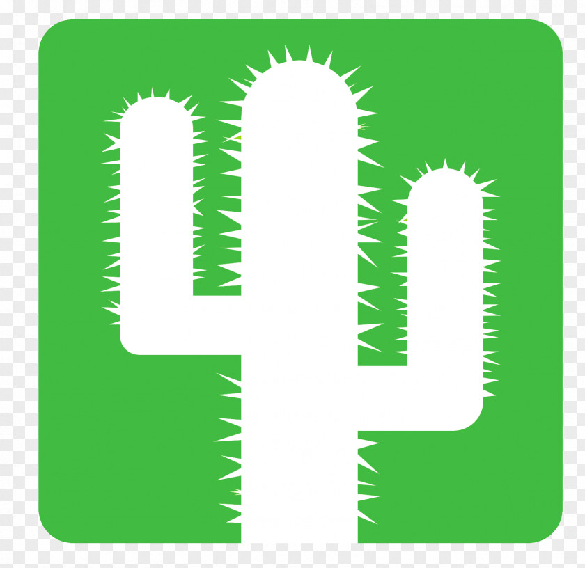 Fiquier De Barbarie Cactus Et Succulentes Succulent Plant Cephalocereus Senilis Saguaro Square PNG